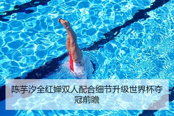 陈芋汐全红婵双人配合细节升级世界杯夺冠前瞻